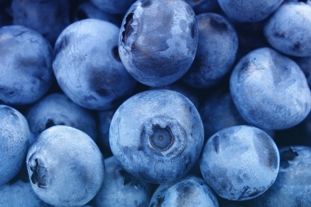 a closeup of some ripe blueberries